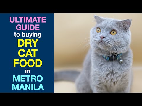 Ultimate Guide to Buying DRY CAT FOOD in Metro Manila