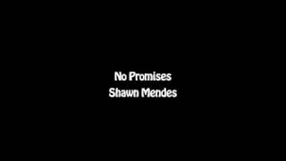 Shawn Mendes - No Promises (lyrics)