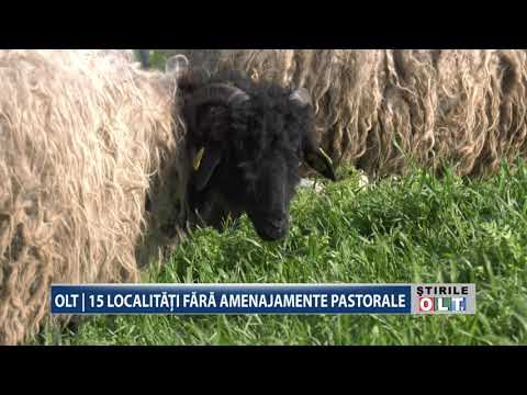 OLT 15 LOCALITATI FARA AMENAJAMENTE PASTORALE 1210