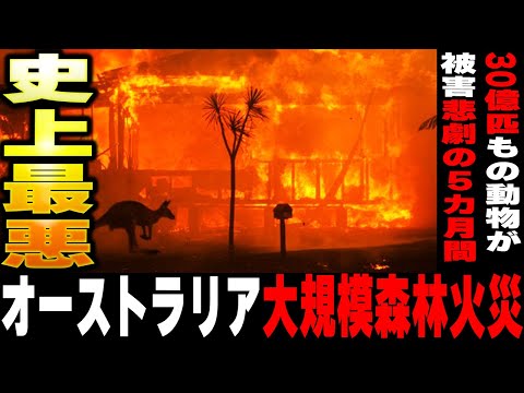 恐ろしい:宇宙から見るとオーストラリアの山火事はとても残酷に見える