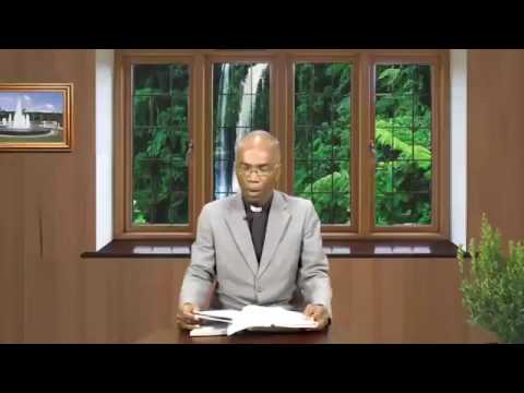 THE DAILY FOUNTAIN, AUGUST 8TH, 2017