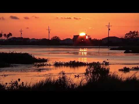 Tab Benoit -  Jam Camp  -  Mustang Sally