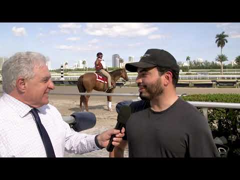 Gulfstream Park: Trainer Jorge Delgado on Super Chow for Holy Bull 2023