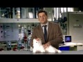 Guys Can Be Cat Ladies Too by Michael Showalter (Episode 2)