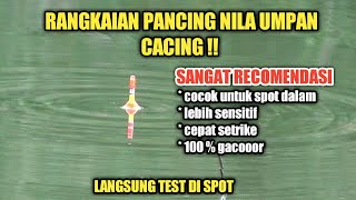 Download lagu TERNYATA INI !! RANGKAIAN PANCING NILA UMPAN CACING PALING MUDAH mp3