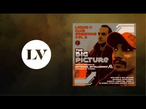 Various Artists - Liquid V Club Sessions, Vol. 2 - Continuous Mix