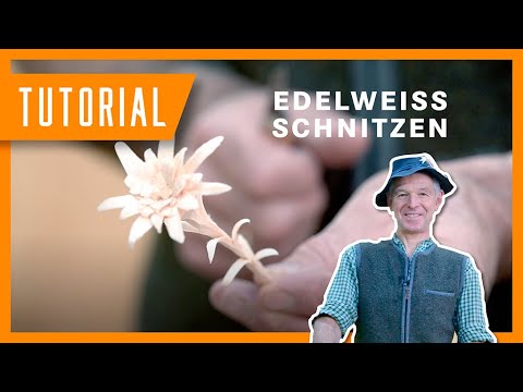 Edelweiß schnitzen: Schritt-für-Schritt mit Sepp | DIY-Holztutorial der Bayerischen Staatsforsten