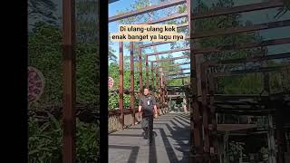 Download lagu lagu ini kayanya mau fyp😅😅😀 #music #trending #viral #viralvideo #satpamprofesional mp3