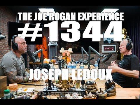Joe Rogan Experience #1344 - Joseph LeDoux
