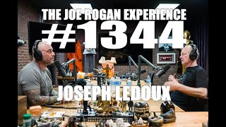 JRE 1344 - Joseph LeDoux