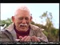 CITV Adverts And Continuity 2005 6
