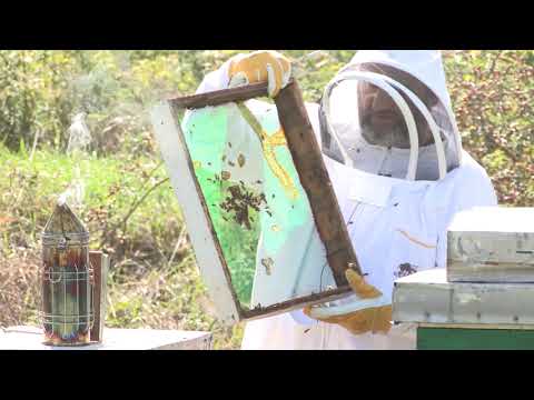 Boja meda ep. 183 07.09.2021. NAJAVA