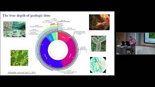 Presentation by Prof. Tad Patzek – March 28, 2019