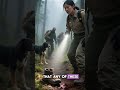 Unexplained Disappearances In America S National Parks True Mystery Documentary Crimedocumentary