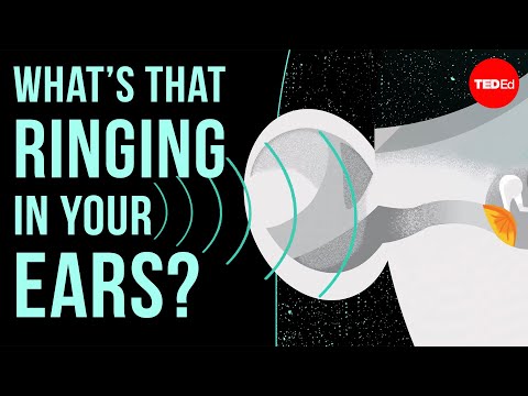 Why Are Your Ears Ringing? The Causes Explained