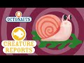 Octonauts Creature Report Giant Kelp