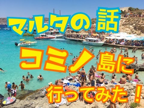 コミノについて詳しく解説