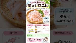 シロエビの旬はいつ？8月に楽しむ栄養・選び方・簡単な食べ方