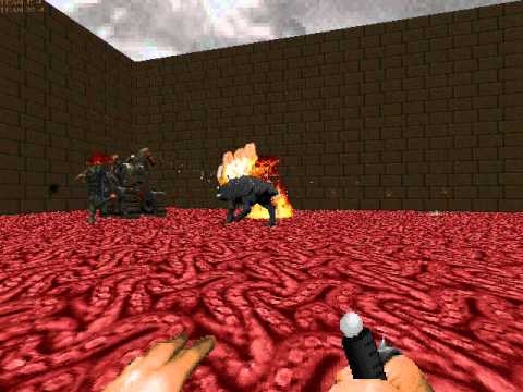 hatearena cerinton+D'sparil  vs tank-boss and magmos