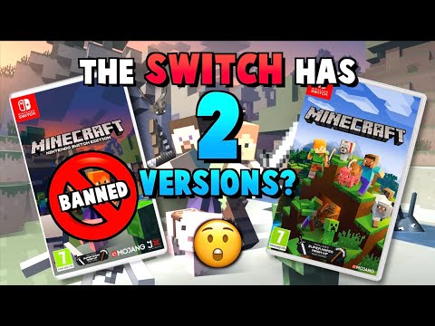 There Is A SECRET Version Of Minecraft For Nintendo Switch...