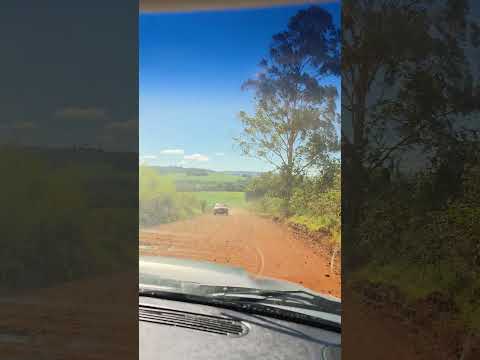 Estrada de Rocandor a Mato Rico no Norte do Paraná #roncador #shorts #estradadeterra #norte #rural