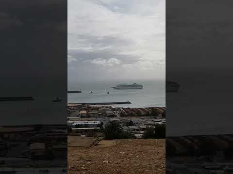 Shipping Tasmania. Port Of Burnie Cruiseship Destination. #trending #shorts #cruiseship #lifeatsea