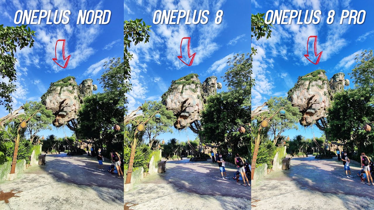 OnePlus Nord vs OnePlus 8 vs OnePlus 8 Pro Camera Test: Skip the Flagships?