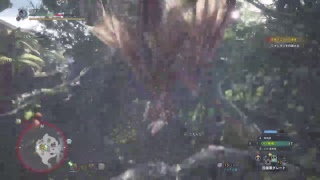 [MHW]　今日はヘビィボウガン。ぼちぼちやっていきましょう。　3