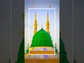 Hum Madine Me Tanha Nikal Jayenge Faslo Ko Taklluf Hai Humse Agar Islamicstatus Youtubeshorts