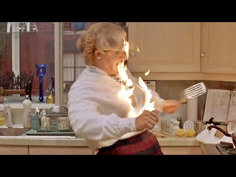 「ミセス」から30年。ダウトファイア』:兄弟が再会