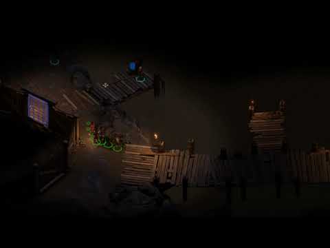 Pillars of Eternity II - Deadfire - 13