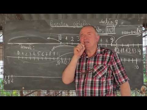 Lectia 1064 - Povestea cifrelor - Primul numar format, NUMARUL 10 constructia numerelor ce urmeaza