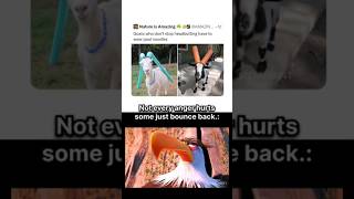 #memes 🤏