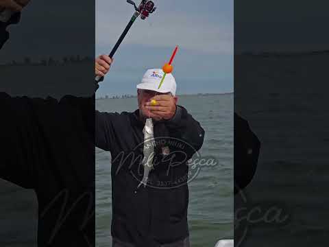 Arranco la pesca en Laguna Viamonte de Cordoba pesquero @milipesca tel 3537443899.