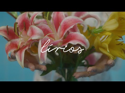 Indy Naíse - lírios :: [Prod. Rincon Sapiência]
