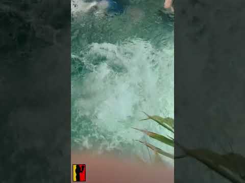 Who are you rooting for??? #RGF