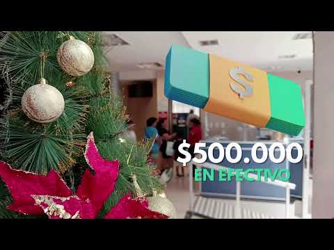 Canal 2 Perico - Programas y Noticias | 15/12/2025