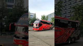 Download lagu Sudiro Tungga Jaya 'SAMOA' angkatan pagi dari terminal grogol #stj #shorts #viral #trending mp3