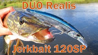 Воблер duo realis jerkbait 120sp