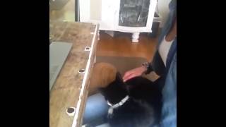 Tom waits - Fab &amp; Lucky - anouk