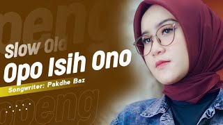Download lagu Opo Iseh Ono ( DJ Topeng Remix ) mp3