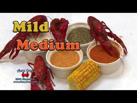 Vince Lagattuta's Reel