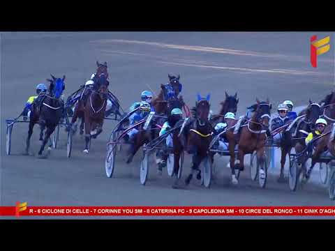 VII Corsa del 19 aprile 2023 - 5/6 Anni - Metri 2000