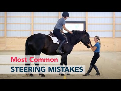 The Most Common Mistakes in Steering a Horse