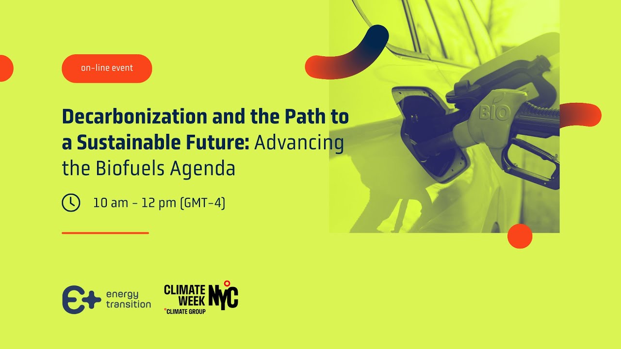 Decarbonization and the Path to a Sustainable Future: Advancing the Biofuels Agenda