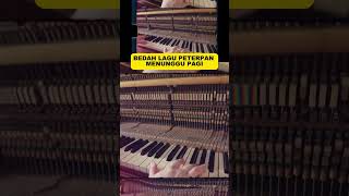 Download lagu BEDAH LAGU PETERPAN MENUNGGU PAGI PT7 mp3