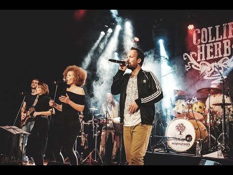 Collie Herb & The Mighty Roots - "Medley (Ferie, Sweet, Stir It Up, A message to you Rudie & more)"