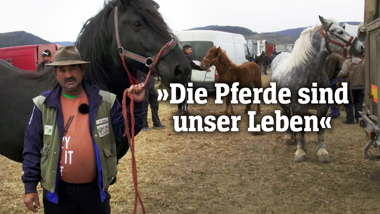 Rumäniens umstrittene Pferdemärkte | SPIEGEL TV für Arte Re: