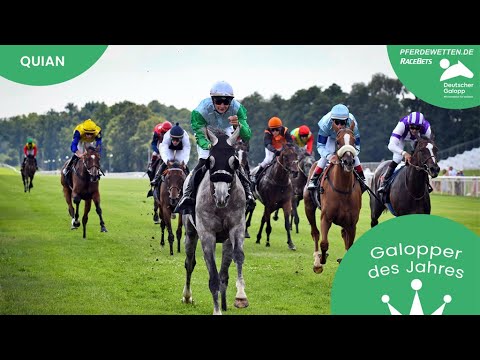 WAHL zum Galopper des Jahres