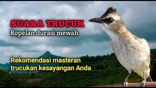 Download lagu Ropelan Trucuk Durasi Mewah Ini Rekomendasi Masteran Trucukan Anda mp3